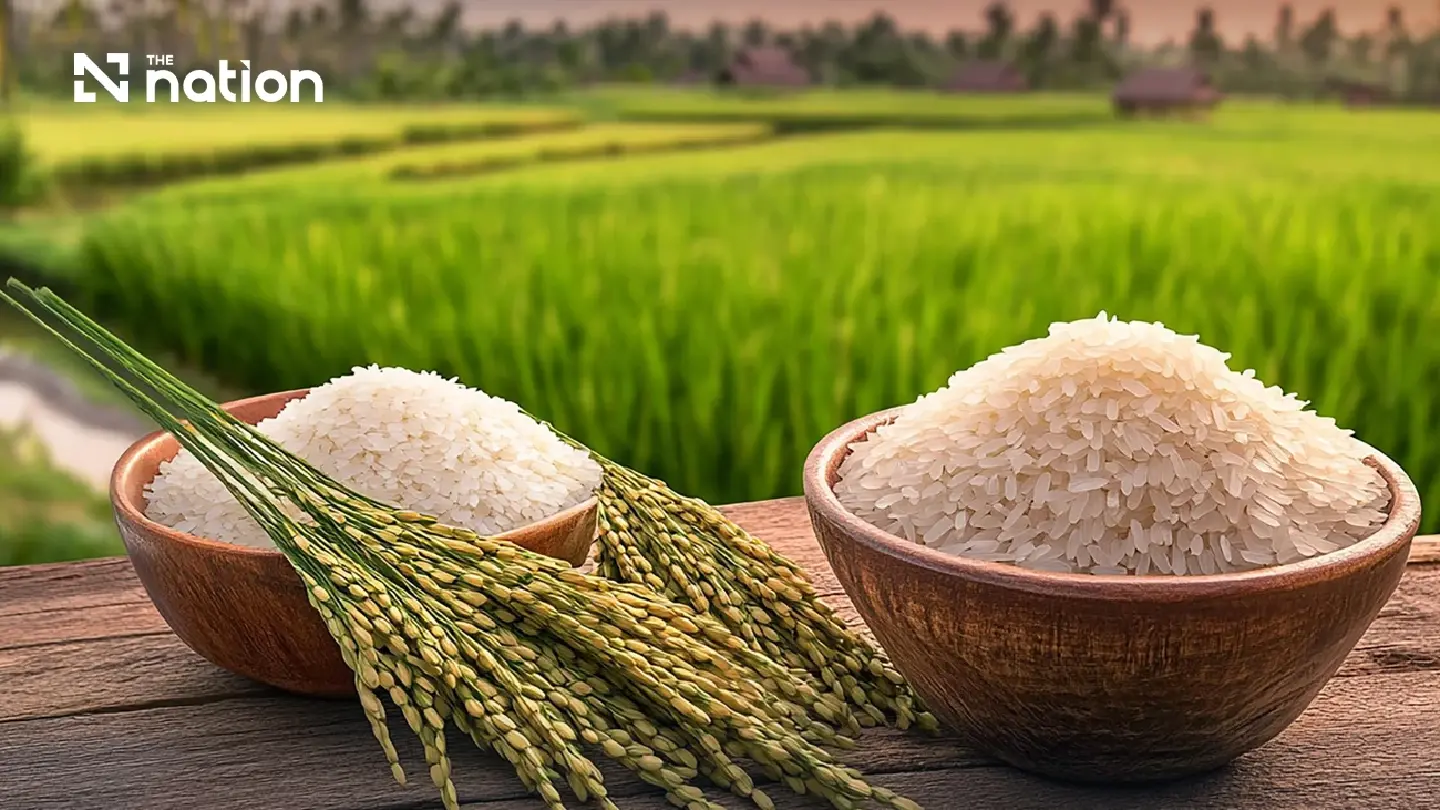 Thai rice festival showcases 15 GI varieties on October 24–25 at Paradise Park Thai rice festival showcases 15 GI varieties on October 24–25 at Paradise Park