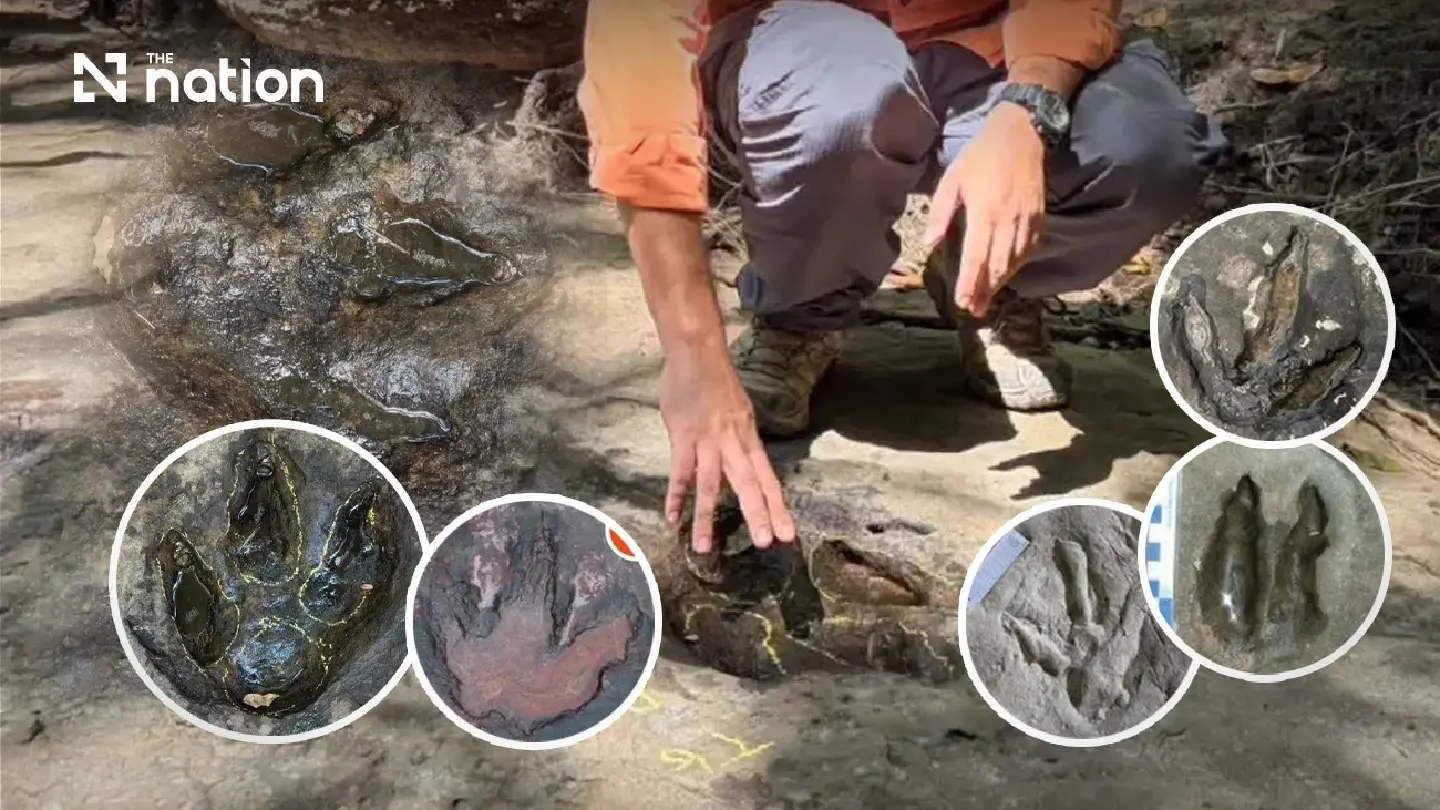 Fossil footprints span 12 Thai provinces with a 120-million-year-old trail in Udon Thani Fossil footprints span 12 Thai provinces with a 120-million-year-old trail in Udon Thani