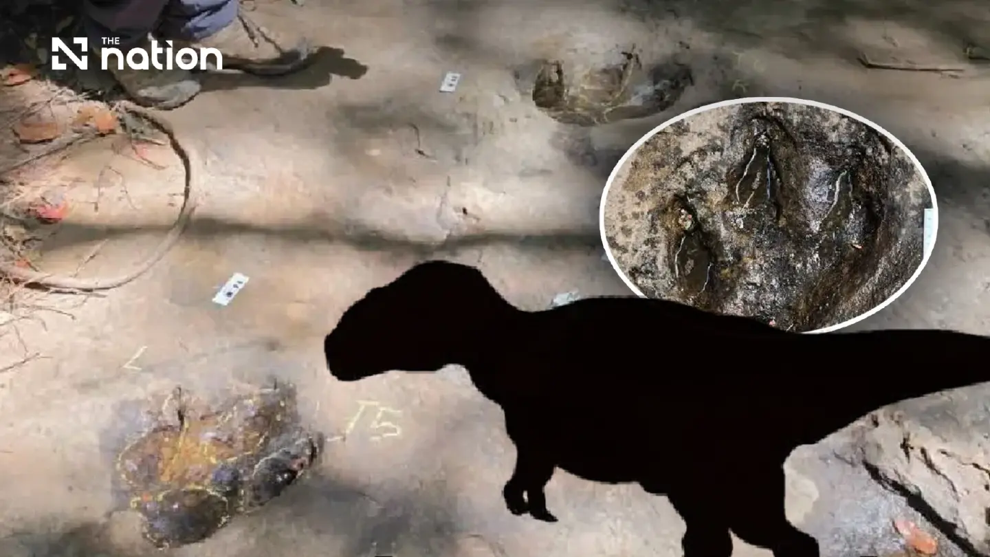 Thailand confirms six 120-million-year-old dinosaur footprints on October 20 Thailand confirms six 120-million-year-old dinosaur footprints on October 20