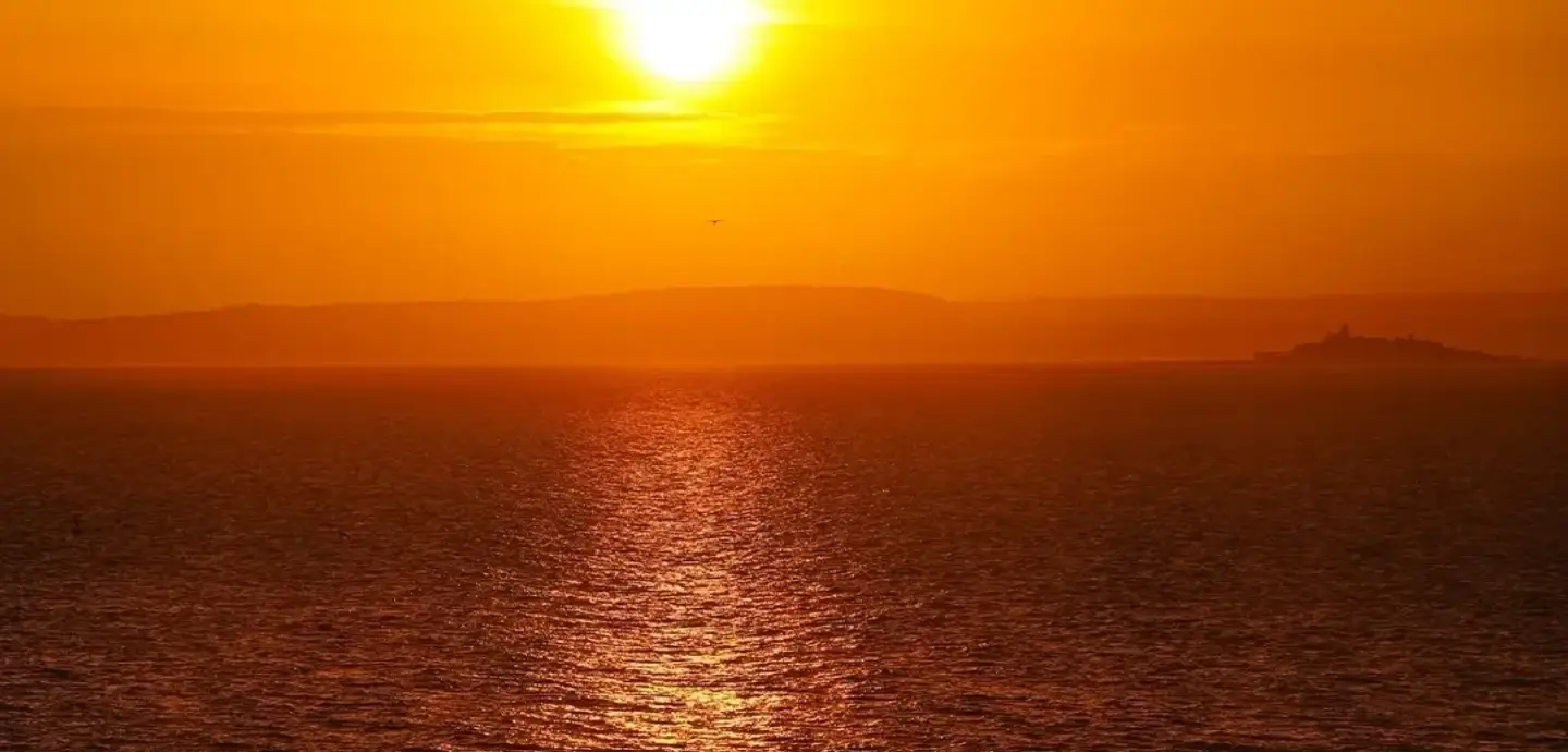 Record ocean heat drives rising seas and damage to polar ecosystems Record ocean heat drives rising seas and damage to polar ecosystems